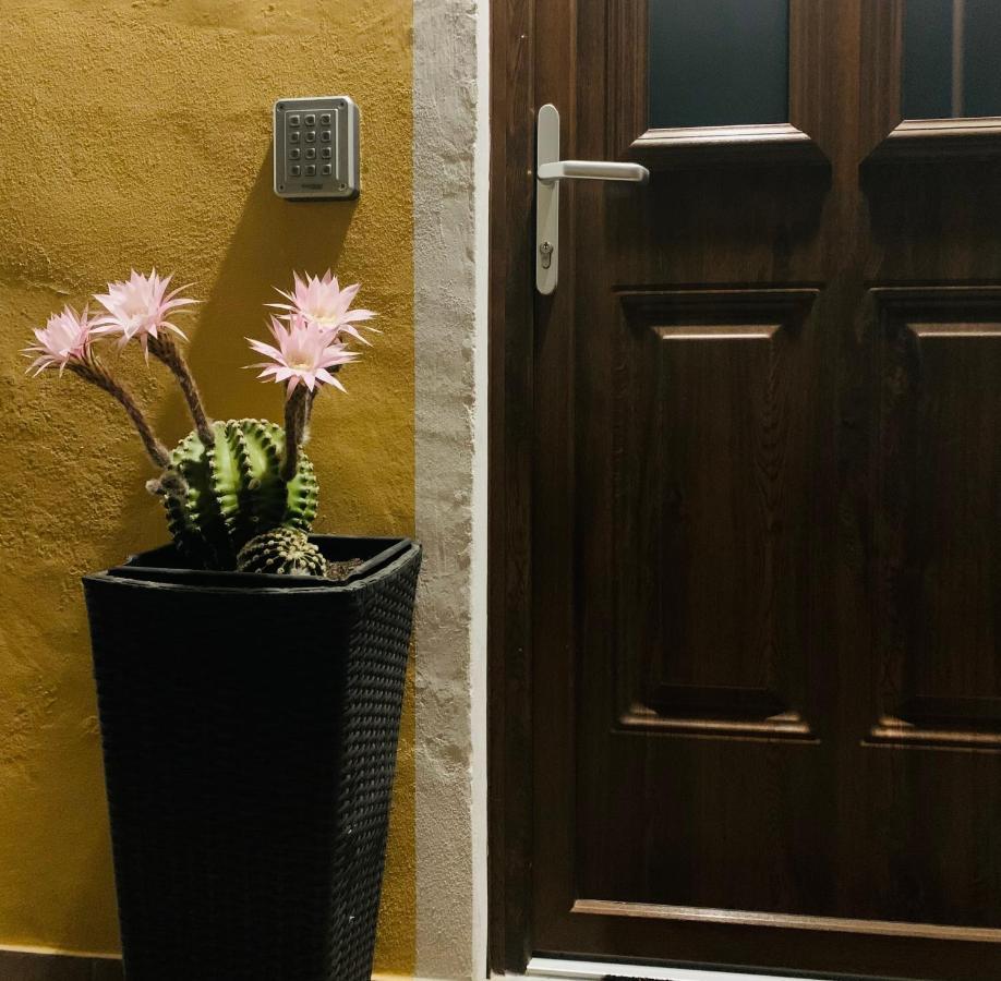 Bed and Breakfast Bb Borgo Biella Candelo Экстерьер фото